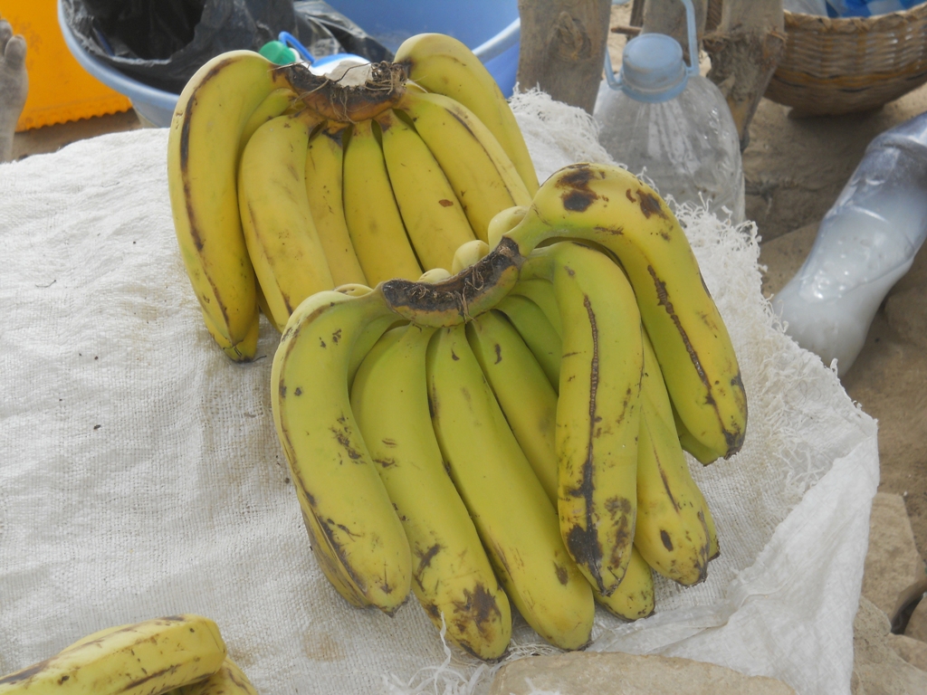 Banane mature - Ripe bananas